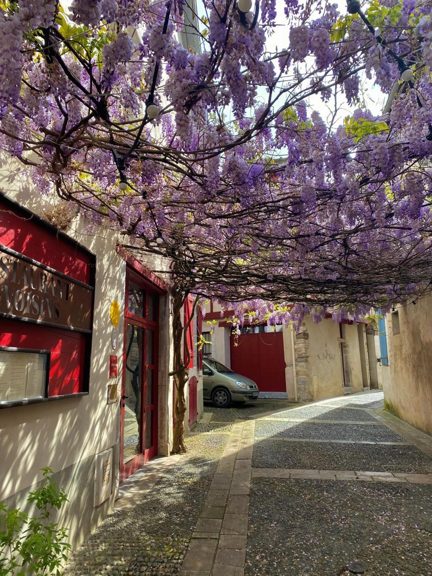 Agreable Petit Gite Avec Piscine Et Jardinet Salies-de-Bearn Exterior photo